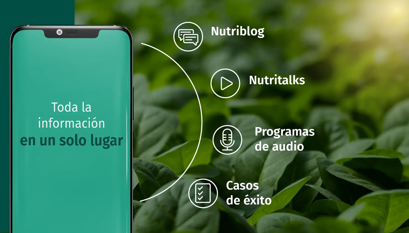 Foto de zona de cultivos nutriterra